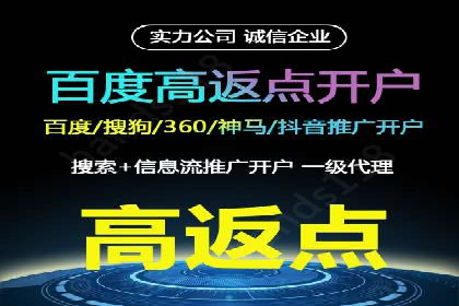 SEM代运营服务公司成功案例解析
