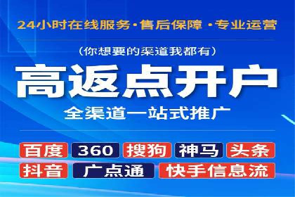 某电商平台的SEM运营实战与效果分析